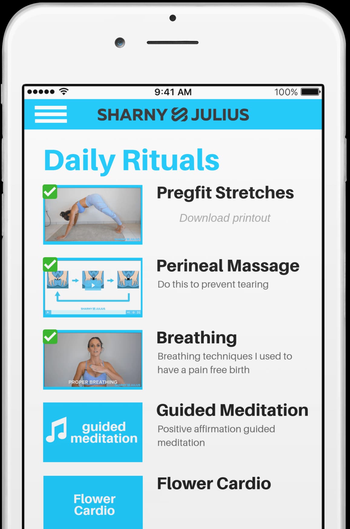 Pregfit daily rituals on an iPhone